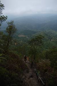 BIB: 
                            <button type="button" onclick="openModal(24893307)" class="btn btn-primary btn-sm float-right btn-popup" data-toggle="modal" data-target=".modal-high-quality">
                        <i class="fas fa-shopping-cart"></i> Add to Cart
                    </button>
                                            <button type="button" onclick="isThisMe(24893307, true)" class="btn btn-success btn-sm float-right btn-popup btn-isme hidden" data-toggle="tooltip" data-placement="bottom" title="นี่คือรูปของคุณใช่ไหม คลิกที่นี่เพื่อเอาเข้าอัลบั้ม">
                        <i class="fas fa-plus"></i> Add to album
                    </button>
                    <button type="button" onclick="isThisMe(24893307, false)" class="btn btn-warning btn-sm float-right btn-popup btn-isnotme hidden">
                        <i class="fas fa-ban"></i> Remove from album
                    </button>