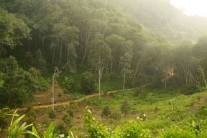 BIB: 
                            <button type="button" onclick="openModal(24892848)" class="btn btn-primary btn-sm float-right btn-popup" data-toggle="modal" data-target=".modal-high-quality">
                        <i class="fas fa-shopping-cart"></i> Add to Cart
                    </button>
                                            <button type="button" onclick="isThisMe(24892848, true)" class="btn btn-success btn-sm float-right btn-popup btn-isme hidden" data-toggle="tooltip" data-placement="bottom" title="นี่คือรูปของคุณใช่ไหม คลิกที่นี่เพื่อเอาเข้าอัลบั้ม">
                        <i class="fas fa-plus"></i> Add to album
                    </button>
                    <button type="button" onclick="isThisMe(24892848, false)" class="btn btn-warning btn-sm float-right btn-popup btn-isnotme hidden">
                        <i class="fas fa-ban"></i> Remove from album
                    </button>