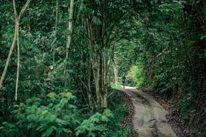 BIB: 
                            <button type="button" onclick="openModal(24893370)" class="btn btn-primary btn-sm float-right btn-popup" data-toggle="modal" data-target=".modal-high-quality">
                        <i class="fas fa-shopping-cart"></i> Add to Cart
                    </button>
                                            <button type="button" onclick="isThisMe(24893370, true)" class="btn btn-success btn-sm float-right btn-popup btn-isme hidden" data-toggle="tooltip" data-placement="bottom" title="นี่คือรูปของคุณใช่ไหม คลิกที่นี่เพื่อเอาเข้าอัลบั้ม">
                        <i class="fas fa-plus"></i> Add to album
                    </button>
                    <button type="button" onclick="isThisMe(24893370, false)" class="btn btn-warning btn-sm float-right btn-popup btn-isnotme hidden">
                        <i class="fas fa-ban"></i> Remove from album
                    </button>