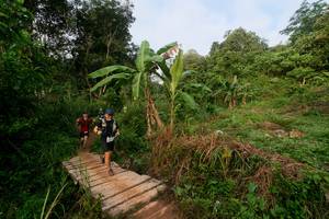 BIB: 
                            <button type="button" onclick="openModal(24892847)" class="btn btn-primary btn-sm float-right btn-popup" data-toggle="modal" data-target=".modal-high-quality">
                        <i class="fas fa-shopping-cart"></i> Add to Cart
                    </button>
                                            <button type="button" onclick="isThisMe(24892847, true)" class="btn btn-success btn-sm float-right btn-popup btn-isme hidden" data-toggle="tooltip" data-placement="bottom" title="นี่คือรูปของคุณใช่ไหม คลิกที่นี่เพื่อเอาเข้าอัลบั้ม">
                        <i class="fas fa-plus"></i> Add to album
                    </button>
                    <button type="button" onclick="isThisMe(24892847, false)" class="btn btn-warning btn-sm float-right btn-popup btn-isnotme hidden">
                        <i class="fas fa-ban"></i> Remove from album
                    </button>