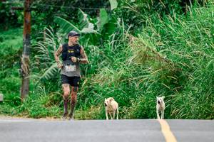 BIB: 
                            <button type="button" onclick="openModal(24893333)" class="btn btn-primary btn-sm float-right btn-popup" data-toggle="modal" data-target=".modal-high-quality">
                        <i class="fas fa-shopping-cart"></i> Add to Cart
                    </button>
                                            <button type="button" onclick="isThisMe(24893333, true)" class="btn btn-success btn-sm float-right btn-popup btn-isme hidden" data-toggle="tooltip" data-placement="bottom" title="นี่คือรูปของคุณใช่ไหม คลิกที่นี่เพื่อเอาเข้าอัลบั้ม">
                        <i class="fas fa-plus"></i> Add to album
                    </button>
                    <button type="button" onclick="isThisMe(24893333, false)" class="btn btn-warning btn-sm float-right btn-popup btn-isnotme hidden">
                        <i class="fas fa-ban"></i> Remove from album
                    </button>