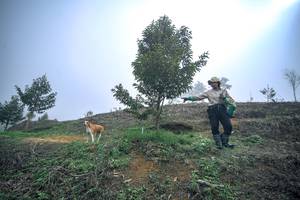 BIB: 
                            <button type="button" onclick="openModal(24893381)" class="btn btn-primary btn-sm float-right btn-popup" data-toggle="modal" data-target=".modal-high-quality">
                        <i class="fas fa-shopping-cart"></i> Add to Cart
                    </button>
                                            <button type="button" onclick="isThisMe(24893381, true)" class="btn btn-success btn-sm float-right btn-popup btn-isme hidden" data-toggle="tooltip" data-placement="bottom" title="นี่คือรูปของคุณใช่ไหม คลิกที่นี่เพื่อเอาเข้าอัลบั้ม">
                        <i class="fas fa-plus"></i> Add to album
                    </button>
                    <button type="button" onclick="isThisMe(24893381, false)" class="btn btn-warning btn-sm float-right btn-popup btn-isnotme hidden">
                        <i class="fas fa-ban"></i> Remove from album
                    </button>