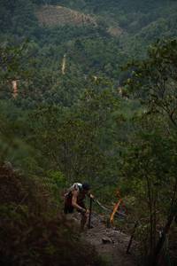 BIB: 
                            <button type="button" onclick="openModal(24893309)" class="btn btn-primary btn-sm float-right btn-popup" data-toggle="modal" data-target=".modal-high-quality">
                        <i class="fas fa-shopping-cart"></i> Add to Cart
                    </button>
                                            <button type="button" onclick="isThisMe(24893309, true)" class="btn btn-success btn-sm float-right btn-popup btn-isme hidden" data-toggle="tooltip" data-placement="bottom" title="นี่คือรูปของคุณใช่ไหม คลิกที่นี่เพื่อเอาเข้าอัลบั้ม">
                        <i class="fas fa-plus"></i> Add to album
                    </button>
                    <button type="button" onclick="isThisMe(24893309, false)" class="btn btn-warning btn-sm float-right btn-popup btn-isnotme hidden">
                        <i class="fas fa-ban"></i> Remove from album
                    </button>