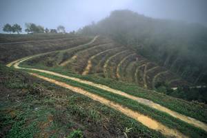 BIB: 
                            <button type="button" onclick="openModal(24893378)" class="btn btn-primary btn-sm float-right btn-popup" data-toggle="modal" data-target=".modal-high-quality">
                        <i class="fas fa-shopping-cart"></i> Add to Cart
                    </button>
                                            <button type="button" onclick="isThisMe(24893378, true)" class="btn btn-success btn-sm float-right btn-popup btn-isme hidden" data-toggle="tooltip" data-placement="bottom" title="นี่คือรูปของคุณใช่ไหม คลิกที่นี่เพื่อเอาเข้าอัลบั้ม">
                        <i class="fas fa-plus"></i> Add to album
                    </button>
                    <button type="button" onclick="isThisMe(24893378, false)" class="btn btn-warning btn-sm float-right btn-popup btn-isnotme hidden">
                        <i class="fas fa-ban"></i> Remove from album
                    </button>