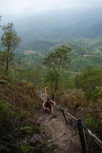 BIB: 
                            <button type="button" onclick="openModal(24893306)" class="btn btn-primary btn-sm float-right btn-popup" data-toggle="modal" data-target=".modal-high-quality">
                        <i class="fas fa-shopping-cart"></i> Add to Cart
                    </button>
                                            <button type="button" onclick="isThisMe(24893306, true)" class="btn btn-success btn-sm float-right btn-popup btn-isme hidden" data-toggle="tooltip" data-placement="bottom" title="นี่คือรูปของคุณใช่ไหม คลิกที่นี่เพื่อเอาเข้าอัลบั้ม">
                        <i class="fas fa-plus"></i> Add to album
                    </button>
                    <button type="button" onclick="isThisMe(24893306, false)" class="btn btn-warning btn-sm float-right btn-popup btn-isnotme hidden">
                        <i class="fas fa-ban"></i> Remove from album
                    </button>