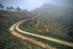 BIB: 
                            <button type="button" onclick="openModal(24893383)" class="btn btn-primary btn-sm float-right btn-popup" data-toggle="modal" data-target=".modal-high-quality">
                        <i class="fas fa-shopping-cart"></i> Add to Cart
                    </button>
                                            <button type="button" onclick="isThisMe(24893383, true)" class="btn btn-success btn-sm float-right btn-popup btn-isme hidden" data-toggle="tooltip" data-placement="bottom" title="นี่คือรูปของคุณใช่ไหม คลิกที่นี่เพื่อเอาเข้าอัลบั้ม">
                        <i class="fas fa-plus"></i> Add to album
                    </button>
                    <button type="button" onclick="isThisMe(24893383, false)" class="btn btn-warning btn-sm float-right btn-popup btn-isnotme hidden">
                        <i class="fas fa-ban"></i> Remove from album
                    </button>