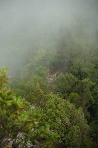 BIB: 
                            <button type="button" onclick="openModal(24893340)" class="btn btn-primary btn-sm float-right btn-popup" data-toggle="modal" data-target=".modal-high-quality">
                        <i class="fas fa-shopping-cart"></i> Add to Cart
                    </button>
                                            <button type="button" onclick="isThisMe(24893340, true)" class="btn btn-success btn-sm float-right btn-popup btn-isme hidden" data-toggle="tooltip" data-placement="bottom" title="นี่คือรูปของคุณใช่ไหม คลิกที่นี่เพื่อเอาเข้าอัลบั้ม">
                        <i class="fas fa-plus"></i> Add to album
                    </button>
                    <button type="button" onclick="isThisMe(24893340, false)" class="btn btn-warning btn-sm float-right btn-popup btn-isnotme hidden">
                        <i class="fas fa-ban"></i> Remove from album
                    </button>