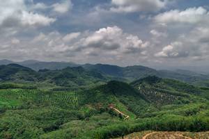 BIB: 
                            <button type="button" onclick="openModal(24893242)" class="btn btn-primary btn-sm float-right btn-popup" data-toggle="modal" data-target=".modal-high-quality">
                        <i class="fas fa-shopping-cart"></i> Add to Cart
                    </button>
                                            <button type="button" onclick="isThisMe(24893242, true)" class="btn btn-success btn-sm float-right btn-popup btn-isme hidden" data-toggle="tooltip" data-placement="bottom" title="นี่คือรูปของคุณใช่ไหม คลิกที่นี่เพื่อเอาเข้าอัลบั้ม">
                        <i class="fas fa-plus"></i> Add to album
                    </button>
                    <button type="button" onclick="isThisMe(24893242, false)" class="btn btn-warning btn-sm float-right btn-popup btn-isnotme hidden">
                        <i class="fas fa-ban"></i> Remove from album
                    </button>