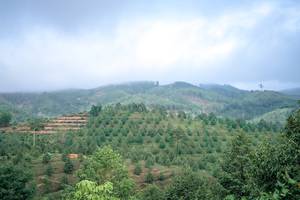 BIB: 
                            <button type="button" onclick="openModal(24893391)" class="btn btn-primary btn-sm float-right btn-popup" data-toggle="modal" data-target=".modal-high-quality">
                        <i class="fas fa-shopping-cart"></i> Add to Cart
                    </button>
                                            <button type="button" onclick="isThisMe(24893391, true)" class="btn btn-success btn-sm float-right btn-popup btn-isme hidden" data-toggle="tooltip" data-placement="bottom" title="นี่คือรูปของคุณใช่ไหม คลิกที่นี่เพื่อเอาเข้าอัลบั้ม">
                        <i class="fas fa-plus"></i> Add to album
                    </button>
                    <button type="button" onclick="isThisMe(24893391, false)" class="btn btn-warning btn-sm float-right btn-popup btn-isnotme hidden">
                        <i class="fas fa-ban"></i> Remove from album
                    </button>