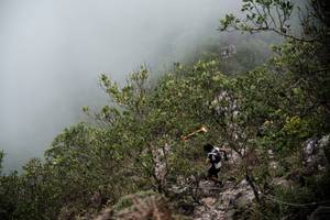 BIB: 
                            <button type="button" onclick="openModal(24893351)" class="btn btn-primary btn-sm float-right btn-popup" data-toggle="modal" data-target=".modal-high-quality">
                        <i class="fas fa-shopping-cart"></i> Add to Cart
                    </button>
                                            <button type="button" onclick="isThisMe(24893351, true)" class="btn btn-success btn-sm float-right btn-popup btn-isme hidden" data-toggle="tooltip" data-placement="bottom" title="นี่คือรูปของคุณใช่ไหม คลิกที่นี่เพื่อเอาเข้าอัลบั้ม">
                        <i class="fas fa-plus"></i> Add to album
                    </button>
                    <button type="button" onclick="isThisMe(24893351, false)" class="btn btn-warning btn-sm float-right btn-popup btn-isnotme hidden">
                        <i class="fas fa-ban"></i> Remove from album
                    </button>