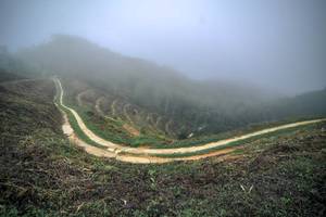 BIB: 
                            <button type="button" onclick="openModal(24893379)" class="btn btn-primary btn-sm float-right btn-popup" data-toggle="modal" data-target=".modal-high-quality">
                        <i class="fas fa-shopping-cart"></i> Add to Cart
                    </button>
                                            <button type="button" onclick="isThisMe(24893379, true)" class="btn btn-success btn-sm float-right btn-popup btn-isme hidden" data-toggle="tooltip" data-placement="bottom" title="นี่คือรูปของคุณใช่ไหม คลิกที่นี่เพื่อเอาเข้าอัลบั้ม">
                        <i class="fas fa-plus"></i> Add to album
                    </button>
                    <button type="button" onclick="isThisMe(24893379, false)" class="btn btn-warning btn-sm float-right btn-popup btn-isnotme hidden">
                        <i class="fas fa-ban"></i> Remove from album
                    </button>