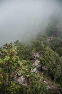 BIB: 
                            <button type="button" onclick="openModal(24893342)" class="btn btn-primary btn-sm float-right btn-popup" data-toggle="modal" data-target=".modal-high-quality">
                        <i class="fas fa-shopping-cart"></i> Add to Cart
                    </button>
                                            <button type="button" onclick="isThisMe(24893342, true)" class="btn btn-success btn-sm float-right btn-popup btn-isme hidden" data-toggle="tooltip" data-placement="bottom" title="นี่คือรูปของคุณใช่ไหม คลิกที่นี่เพื่อเอาเข้าอัลบั้ม">
                        <i class="fas fa-plus"></i> Add to album
                    </button>
                    <button type="button" onclick="isThisMe(24893342, false)" class="btn btn-warning btn-sm float-right btn-popup btn-isnotme hidden">
                        <i class="fas fa-ban"></i> Remove from album
                    </button>