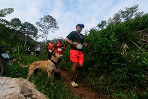 BIB: 
                            <button type="button" onclick="openModal(24892849)" class="btn btn-primary btn-sm float-right btn-popup" data-toggle="modal" data-target=".modal-high-quality">
                        <i class="fas fa-shopping-cart"></i> Add to Cart
                    </button>
                                            <button type="button" onclick="isThisMe(24892849, true)" class="btn btn-success btn-sm float-right btn-popup btn-isme hidden" data-toggle="tooltip" data-placement="bottom" title="นี่คือรูปของคุณใช่ไหม คลิกที่นี่เพื่อเอาเข้าอัลบั้ม">
                        <i class="fas fa-plus"></i> Add to album
                    </button>
                    <button type="button" onclick="isThisMe(24892849, false)" class="btn btn-warning btn-sm float-right btn-popup btn-isnotme hidden">
                        <i class="fas fa-ban"></i> Remove from album
                    </button>