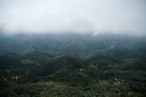 BIB: 
                            <button type="button" onclick="openModal(24893314)" class="btn btn-primary btn-sm float-right btn-popup" data-toggle="modal" data-target=".modal-high-quality">
                        <i class="fas fa-shopping-cart"></i> Add to Cart
                    </button>
                                            <button type="button" onclick="isThisMe(24893314, true)" class="btn btn-success btn-sm float-right btn-popup btn-isme hidden" data-toggle="tooltip" data-placement="bottom" title="นี่คือรูปของคุณใช่ไหม คลิกที่นี่เพื่อเอาเข้าอัลบั้ม">
                        <i class="fas fa-plus"></i> Add to album
                    </button>
                    <button type="button" onclick="isThisMe(24893314, false)" class="btn btn-warning btn-sm float-right btn-popup btn-isnotme hidden">
                        <i class="fas fa-ban"></i> Remove from album
                    </button>