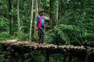 BIB: 
                            <button type="button" onclick="openModal(24766416)" class="btn btn-primary btn-sm float-right btn-popup" data-toggle="modal" data-target=".modal-high-quality">
                        <i class="fas fa-shopping-cart"></i> Add to Cart
                    </button>
                                            <button type="button" onclick="isThisMe(24766416, true)" class="btn btn-success btn-sm float-right btn-popup btn-isme hidden" data-toggle="tooltip" data-placement="bottom" title="นี่คือรูปของคุณใช่ไหม คลิกที่นี่เพื่อเอาเข้าอัลบั้ม">
                        <i class="fas fa-plus"></i> Add to album
                    </button>
                    <button type="button" onclick="isThisMe(24766416, false)" class="btn btn-warning btn-sm float-right btn-popup btn-isnotme hidden">
                        <i class="fas fa-ban"></i> Remove from album
                    </button>