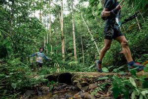 BIB: 
                            <button type="button" onclick="openModal(24775506)" class="btn btn-primary btn-sm float-right btn-popup" data-toggle="modal" data-target=".modal-high-quality">
                        <i class="fas fa-shopping-cart"></i> Add to Cart
                    </button>
                                            <button type="button" onclick="isThisMe(24775506, true)" class="btn btn-success btn-sm float-right btn-popup btn-isme hidden" data-toggle="tooltip" data-placement="bottom" title="นี่คือรูปของคุณใช่ไหม คลิกที่นี่เพื่อเอาเข้าอัลบั้ม">
                        <i class="fas fa-plus"></i> Add to album
                    </button>
                    <button type="button" onclick="isThisMe(24775506, false)" class="btn btn-warning btn-sm float-right btn-popup btn-isnotme hidden">
                        <i class="fas fa-ban"></i> Remove from album
                    </button>