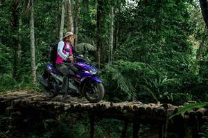 BIB: 
                            <button type="button" onclick="openModal(24766266)" class="btn btn-primary btn-sm float-right btn-popup" data-toggle="modal" data-target=".modal-high-quality">
                        <i class="fas fa-shopping-cart"></i> Add to Cart
                    </button>
                                            <button type="button" onclick="isThisMe(24766266, true)" class="btn btn-success btn-sm float-right btn-popup btn-isme hidden" data-toggle="tooltip" data-placement="bottom" title="นี่คือรูปของคุณใช่ไหม คลิกที่นี่เพื่อเอาเข้าอัลบั้ม">
                        <i class="fas fa-plus"></i> Add to album
                    </button>
                    <button type="button" onclick="isThisMe(24766266, false)" class="btn btn-warning btn-sm float-right btn-popup btn-isnotme hidden">
                        <i class="fas fa-ban"></i> Remove from album
                    </button>