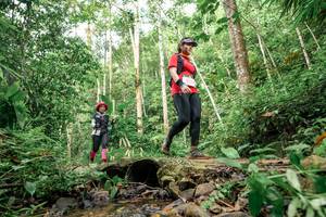 BIB: 
                            <button type="button" onclick="openModal(24768625)" class="btn btn-primary btn-sm float-right btn-popup" data-toggle="modal" data-target=".modal-high-quality">
                        <i class="fas fa-shopping-cart"></i> Add to Cart
                    </button>
                                            <button type="button" onclick="isThisMe(24768625, true)" class="btn btn-success btn-sm float-right btn-popup btn-isme hidden" data-toggle="tooltip" data-placement="bottom" title="นี่คือรูปของคุณใช่ไหม คลิกที่นี่เพื่อเอาเข้าอัลบั้ม">
                        <i class="fas fa-plus"></i> Add to album
                    </button>
                    <button type="button" onclick="isThisMe(24768625, false)" class="btn btn-warning btn-sm float-right btn-popup btn-isnotme hidden">
                        <i class="fas fa-ban"></i> Remove from album
                    </button>