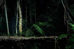 BIB: 
                            <button type="button" onclick="openModal(24758474)" class="btn btn-primary btn-sm float-right btn-popup" data-toggle="modal" data-target=".modal-high-quality">
                        <i class="fas fa-shopping-cart"></i> Add to Cart
                    </button>
                                            <button type="button" onclick="isThisMe(24758474, true)" class="btn btn-success btn-sm float-right btn-popup btn-isme hidden" data-toggle="tooltip" data-placement="bottom" title="นี่คือรูปของคุณใช่ไหม คลิกที่นี่เพื่อเอาเข้าอัลบั้ม">
                        <i class="fas fa-plus"></i> Add to album
                    </button>
                    <button type="button" onclick="isThisMe(24758474, false)" class="btn btn-warning btn-sm float-right btn-popup btn-isnotme hidden">
                        <i class="fas fa-ban"></i> Remove from album
                    </button>