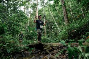 BIB: 
                            <button type="button" onclick="openModal(24767661)" class="btn btn-primary btn-sm float-right btn-popup" data-toggle="modal" data-target=".modal-high-quality">
                        <i class="fas fa-shopping-cart"></i> Add to Cart
                    </button>
                                            <button type="button" onclick="isThisMe(24767661, true)" class="btn btn-success btn-sm float-right btn-popup btn-isme hidden" data-toggle="tooltip" data-placement="bottom" title="นี่คือรูปของคุณใช่ไหม คลิกที่นี่เพื่อเอาเข้าอัลบั้ม">
                        <i class="fas fa-plus"></i> Add to album
                    </button>
                    <button type="button" onclick="isThisMe(24767661, false)" class="btn btn-warning btn-sm float-right btn-popup btn-isnotme hidden">
                        <i class="fas fa-ban"></i> Remove from album
                    </button>