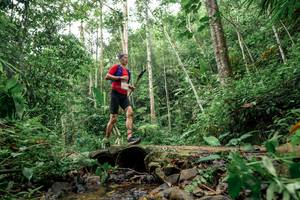 BIB: 
                            <button type="button" onclick="openModal(24776311)" class="btn btn-primary btn-sm float-right btn-popup" data-toggle="modal" data-target=".modal-high-quality">
                        <i class="fas fa-shopping-cart"></i> Add to Cart
                    </button>
                                            <button type="button" onclick="isThisMe(24776311, true)" class="btn btn-success btn-sm float-right btn-popup btn-isme hidden" data-toggle="tooltip" data-placement="bottom" title="นี่คือรูปของคุณใช่ไหม คลิกที่นี่เพื่อเอาเข้าอัลบั้ม">
                        <i class="fas fa-plus"></i> Add to album
                    </button>
                    <button type="button" onclick="isThisMe(24776311, false)" class="btn btn-warning btn-sm float-right btn-popup btn-isnotme hidden">
                        <i class="fas fa-ban"></i> Remove from album
                    </button>