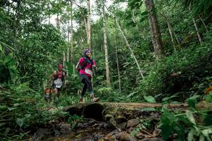 BIB: 
                            <button type="button" onclick="openModal(24772835)" class="btn btn-primary btn-sm float-right btn-popup" data-toggle="modal" data-target=".modal-high-quality">
                        <i class="fas fa-shopping-cart"></i> Add to Cart
                    </button>
                                            <button type="button" onclick="isThisMe(24772835, true)" class="btn btn-success btn-sm float-right btn-popup btn-isme hidden" data-toggle="tooltip" data-placement="bottom" title="นี่คือรูปของคุณใช่ไหม คลิกที่นี่เพื่อเอาเข้าอัลบั้ม">
                        <i class="fas fa-plus"></i> Add to album
                    </button>
                    <button type="button" onclick="isThisMe(24772835, false)" class="btn btn-warning btn-sm float-right btn-popup btn-isnotme hidden">
                        <i class="fas fa-ban"></i> Remove from album
                    </button>