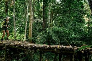 BIB: 
                            <button type="button" onclick="openModal(24766187)" class="btn btn-primary btn-sm float-right btn-popup" data-toggle="modal" data-target=".modal-high-quality">
                        <i class="fas fa-shopping-cart"></i> Add to Cart
                    </button>
                                            <button type="button" onclick="isThisMe(24766187, true)" class="btn btn-success btn-sm float-right btn-popup btn-isme hidden" data-toggle="tooltip" data-placement="bottom" title="นี่คือรูปของคุณใช่ไหม คลิกที่นี่เพื่อเอาเข้าอัลบั้ม">
                        <i class="fas fa-plus"></i> Add to album
                    </button>
                    <button type="button" onclick="isThisMe(24766187, false)" class="btn btn-warning btn-sm float-right btn-popup btn-isnotme hidden">
                        <i class="fas fa-ban"></i> Remove from album
                    </button>