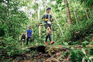 BIB: 
                            <button type="button" onclick="openModal(24768446)" class="btn btn-primary btn-sm float-right btn-popup" data-toggle="modal" data-target=".modal-high-quality">
                        <i class="fas fa-shopping-cart"></i> Add to Cart
                    </button>
                                            <button type="button" onclick="isThisMe(24768446, true)" class="btn btn-success btn-sm float-right btn-popup btn-isme hidden" data-toggle="tooltip" data-placement="bottom" title="นี่คือรูปของคุณใช่ไหม คลิกที่นี่เพื่อเอาเข้าอัลบั้ม">
                        <i class="fas fa-plus"></i> Add to album
                    </button>
                    <button type="button" onclick="isThisMe(24768446, false)" class="btn btn-warning btn-sm float-right btn-popup btn-isnotme hidden">
                        <i class="fas fa-ban"></i> Remove from album
                    </button>