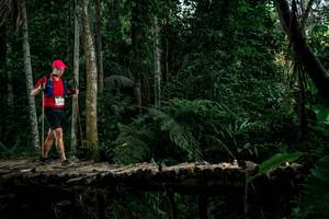 BIB: 
                            <button type="button" onclick="openModal(24762545)" class="btn btn-primary btn-sm float-right btn-popup" data-toggle="modal" data-target=".modal-high-quality">
                        <i class="fas fa-shopping-cart"></i> Add to Cart
                    </button>
                                            <button type="button" onclick="isThisMe(24762545, true)" class="btn btn-success btn-sm float-right btn-popup btn-isme hidden" data-toggle="tooltip" data-placement="bottom" title="นี่คือรูปของคุณใช่ไหม คลิกที่นี่เพื่อเอาเข้าอัลบั้ม">
                        <i class="fas fa-plus"></i> Add to album
                    </button>
                    <button type="button" onclick="isThisMe(24762545, false)" class="btn btn-warning btn-sm float-right btn-popup btn-isnotme hidden">
                        <i class="fas fa-ban"></i> Remove from album
                    </button>