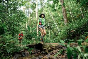 BIB: 
                            <button type="button" onclick="openModal(24768329)" class="btn btn-primary btn-sm float-right btn-popup" data-toggle="modal" data-target=".modal-high-quality">
                        <i class="fas fa-shopping-cart"></i> Add to Cart
                    </button>
                                            <button type="button" onclick="isThisMe(24768329, true)" class="btn btn-success btn-sm float-right btn-popup btn-isme hidden" data-toggle="tooltip" data-placement="bottom" title="นี่คือรูปของคุณใช่ไหม คลิกที่นี่เพื่อเอาเข้าอัลบั้ม">
                        <i class="fas fa-plus"></i> Add to album
                    </button>
                    <button type="button" onclick="isThisMe(24768329, false)" class="btn btn-warning btn-sm float-right btn-popup btn-isnotme hidden">
                        <i class="fas fa-ban"></i> Remove from album
                    </button>