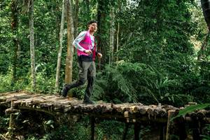 BIB: 
                            <button type="button" onclick="openModal(24766117)" class="btn btn-primary btn-sm float-right btn-popup" data-toggle="modal" data-target=".modal-high-quality">
                        <i class="fas fa-shopping-cart"></i> Add to Cart
                    </button>
                                            <button type="button" onclick="isThisMe(24766117, true)" class="btn btn-success btn-sm float-right btn-popup btn-isme hidden" data-toggle="tooltip" data-placement="bottom" title="นี่คือรูปของคุณใช่ไหม คลิกที่นี่เพื่อเอาเข้าอัลบั้ม">
                        <i class="fas fa-plus"></i> Add to album
                    </button>
                    <button type="button" onclick="isThisMe(24766117, false)" class="btn btn-warning btn-sm float-right btn-popup btn-isnotme hidden">
                        <i class="fas fa-ban"></i> Remove from album
                    </button>