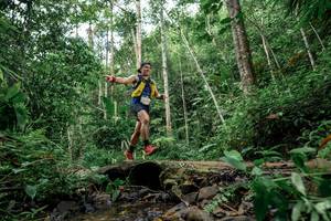 BIB: 
                            <button type="button" onclick="openModal(24767557)" class="btn btn-primary btn-sm float-right btn-popup" data-toggle="modal" data-target=".modal-high-quality">
                        <i class="fas fa-shopping-cart"></i> Add to Cart
                    </button>
                                            <button type="button" onclick="isThisMe(24767557, true)" class="btn btn-success btn-sm float-right btn-popup btn-isme hidden" data-toggle="tooltip" data-placement="bottom" title="นี่คือรูปของคุณใช่ไหม คลิกที่นี่เพื่อเอาเข้าอัลบั้ม">
                        <i class="fas fa-plus"></i> Add to album
                    </button>
                    <button type="button" onclick="isThisMe(24767557, false)" class="btn btn-warning btn-sm float-right btn-popup btn-isnotme hidden">
                        <i class="fas fa-ban"></i> Remove from album
                    </button>