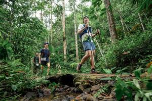 BIB: 
                            <button type="button" onclick="openModal(24773367)" class="btn btn-primary btn-sm float-right btn-popup" data-toggle="modal" data-target=".modal-high-quality">
                        <i class="fas fa-shopping-cart"></i> Add to Cart
                    </button>
                                            <button type="button" onclick="isThisMe(24773367, true)" class="btn btn-success btn-sm float-right btn-popup btn-isme hidden" data-toggle="tooltip" data-placement="bottom" title="นี่คือรูปของคุณใช่ไหม คลิกที่นี่เพื่อเอาเข้าอัลบั้ม">
                        <i class="fas fa-plus"></i> Add to album
                    </button>
                    <button type="button" onclick="isThisMe(24773367, false)" class="btn btn-warning btn-sm float-right btn-popup btn-isnotme hidden">
                        <i class="fas fa-ban"></i> Remove from album
                    </button>