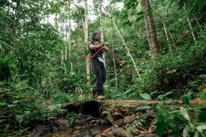 BIB: 
                            <button type="button" onclick="openModal(24775445)" class="btn btn-primary btn-sm float-right btn-popup" data-toggle="modal" data-target=".modal-high-quality">
                        <i class="fas fa-shopping-cart"></i> Add to Cart
                    </button>
                                            <button type="button" onclick="isThisMe(24775445, true)" class="btn btn-success btn-sm float-right btn-popup btn-isme hidden" data-toggle="tooltip" data-placement="bottom" title="นี่คือรูปของคุณใช่ไหม คลิกที่นี่เพื่อเอาเข้าอัลบั้ม">
                        <i class="fas fa-plus"></i> Add to album
                    </button>
                    <button type="button" onclick="isThisMe(24775445, false)" class="btn btn-warning btn-sm float-right btn-popup btn-isnotme hidden">
                        <i class="fas fa-ban"></i> Remove from album
                    </button>