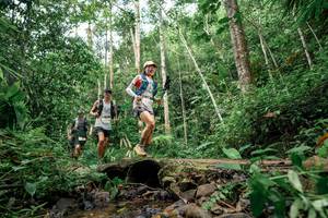 BIB: 
                            <button type="button" onclick="openModal(24769929)" class="btn btn-primary btn-sm float-right btn-popup" data-toggle="modal" data-target=".modal-high-quality">
                        <i class="fas fa-shopping-cart"></i> Add to Cart
                    </button>
                                            <button type="button" onclick="isThisMe(24769929, true)" class="btn btn-success btn-sm float-right btn-popup btn-isme hidden" data-toggle="tooltip" data-placement="bottom" title="นี่คือรูปของคุณใช่ไหม คลิกที่นี่เพื่อเอาเข้าอัลบั้ม">
                        <i class="fas fa-plus"></i> Add to album
                    </button>
                    <button type="button" onclick="isThisMe(24769929, false)" class="btn btn-warning btn-sm float-right btn-popup btn-isnotme hidden">
                        <i class="fas fa-ban"></i> Remove from album
                    </button>