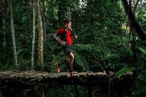 BIB: 
                            <button type="button" onclick="openModal(24764381)" class="btn btn-primary btn-sm float-right btn-popup" data-toggle="modal" data-target=".modal-high-quality">
                        <i class="fas fa-shopping-cart"></i> Add to Cart
                    </button>
                                            <button type="button" onclick="isThisMe(24764381, true)" class="btn btn-success btn-sm float-right btn-popup btn-isme hidden" data-toggle="tooltip" data-placement="bottom" title="นี่คือรูปของคุณใช่ไหม คลิกที่นี่เพื่อเอาเข้าอัลบั้ม">
                        <i class="fas fa-plus"></i> Add to album
                    </button>
                    <button type="button" onclick="isThisMe(24764381, false)" class="btn btn-warning btn-sm float-right btn-popup btn-isnotme hidden">
                        <i class="fas fa-ban"></i> Remove from album
                    </button>