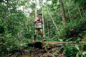 BIB: 
                            <button type="button" onclick="openModal(24775060)" class="btn btn-primary btn-sm float-right btn-popup" data-toggle="modal" data-target=".modal-high-quality">
                        <i class="fas fa-shopping-cart"></i> Add to Cart
                    </button>
                                            <button type="button" onclick="isThisMe(24775060, true)" class="btn btn-success btn-sm float-right btn-popup btn-isme hidden" data-toggle="tooltip" data-placement="bottom" title="นี่คือรูปของคุณใช่ไหม คลิกที่นี่เพื่อเอาเข้าอัลบั้ม">
                        <i class="fas fa-plus"></i> Add to album
                    </button>
                    <button type="button" onclick="isThisMe(24775060, false)" class="btn btn-warning btn-sm float-right btn-popup btn-isnotme hidden">
                        <i class="fas fa-ban"></i> Remove from album
                    </button>