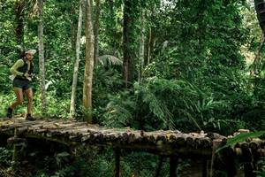 BIB: 
                            <button type="button" onclick="openModal(24766169)" class="btn btn-primary btn-sm float-right btn-popup" data-toggle="modal" data-target=".modal-high-quality">
                        <i class="fas fa-shopping-cart"></i> Add to Cart
                    </button>
                                            <button type="button" onclick="isThisMe(24766169, true)" class="btn btn-success btn-sm float-right btn-popup btn-isme hidden" data-toggle="tooltip" data-placement="bottom" title="นี่คือรูปของคุณใช่ไหม คลิกที่นี่เพื่อเอาเข้าอัลบั้ม">
                        <i class="fas fa-plus"></i> Add to album
                    </button>
                    <button type="button" onclick="isThisMe(24766169, false)" class="btn btn-warning btn-sm float-right btn-popup btn-isnotme hidden">
                        <i class="fas fa-ban"></i> Remove from album
                    </button>