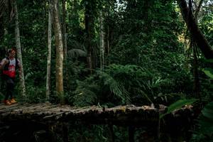 BIB: 
                            <button type="button" onclick="openModal(24763975)" class="btn btn-primary btn-sm float-right btn-popup" data-toggle="modal" data-target=".modal-high-quality">
                        <i class="fas fa-shopping-cart"></i> Add to Cart
                    </button>
                                            <button type="button" onclick="isThisMe(24763975, true)" class="btn btn-success btn-sm float-right btn-popup btn-isme hidden" data-toggle="tooltip" data-placement="bottom" title="นี่คือรูปของคุณใช่ไหม คลิกที่นี่เพื่อเอาเข้าอัลบั้ม">
                        <i class="fas fa-plus"></i> Add to album
                    </button>
                    <button type="button" onclick="isThisMe(24763975, false)" class="btn btn-warning btn-sm float-right btn-popup btn-isnotme hidden">
                        <i class="fas fa-ban"></i> Remove from album
                    </button>