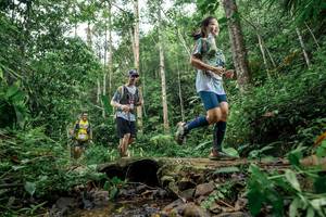 BIB: 
                            <button type="button" onclick="openModal(24774416)" class="btn btn-primary btn-sm float-right btn-popup" data-toggle="modal" data-target=".modal-high-quality">
                        <i class="fas fa-shopping-cart"></i> Add to Cart
                    </button>
                                            <button type="button" onclick="isThisMe(24774416, true)" class="btn btn-success btn-sm float-right btn-popup btn-isme hidden" data-toggle="tooltip" data-placement="bottom" title="นี่คือรูปของคุณใช่ไหม คลิกที่นี่เพื่อเอาเข้าอัลบั้ม">
                        <i class="fas fa-plus"></i> Add to album
                    </button>
                    <button type="button" onclick="isThisMe(24774416, false)" class="btn btn-warning btn-sm float-right btn-popup btn-isnotme hidden">
                        <i class="fas fa-ban"></i> Remove from album
                    </button>