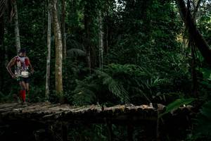 BIB: 
                            <button type="button" onclick="openModal(24762695)" class="btn btn-primary btn-sm float-right btn-popup" data-toggle="modal" data-target=".modal-high-quality">
                        <i class="fas fa-shopping-cart"></i> Add to Cart
                    </button>
                                            <button type="button" onclick="isThisMe(24762695, true)" class="btn btn-success btn-sm float-right btn-popup btn-isme hidden" data-toggle="tooltip" data-placement="bottom" title="นี่คือรูปของคุณใช่ไหม คลิกที่นี่เพื่อเอาเข้าอัลบั้ม">
                        <i class="fas fa-plus"></i> Add to album
                    </button>
                    <button type="button" onclick="isThisMe(24762695, false)" class="btn btn-warning btn-sm float-right btn-popup btn-isnotme hidden">
                        <i class="fas fa-ban"></i> Remove from album
                    </button>