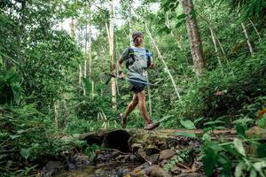 BIB: 
                            <button type="button" onclick="openModal(24769196)" class="btn btn-primary btn-sm float-right btn-popup" data-toggle="modal" data-target=".modal-high-quality">
                        <i class="fas fa-shopping-cart"></i> Add to Cart
                    </button>
                                            <button type="button" onclick="isThisMe(24769196, true)" class="btn btn-success btn-sm float-right btn-popup btn-isme hidden" data-toggle="tooltip" data-placement="bottom" title="นี่คือรูปของคุณใช่ไหม คลิกที่นี่เพื่อเอาเข้าอัลบั้ม">
                        <i class="fas fa-plus"></i> Add to album
                    </button>
                    <button type="button" onclick="isThisMe(24769196, false)" class="btn btn-warning btn-sm float-right btn-popup btn-isnotme hidden">
                        <i class="fas fa-ban"></i> Remove from album
                    </button>