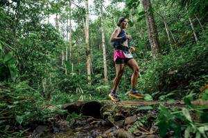 BIB: 
                            <button type="button" onclick="openModal(24774045)" class="btn btn-primary btn-sm float-right btn-popup" data-toggle="modal" data-target=".modal-high-quality">
                        <i class="fas fa-shopping-cart"></i> Add to Cart
                    </button>
                                            <button type="button" onclick="isThisMe(24774045, true)" class="btn btn-success btn-sm float-right btn-popup btn-isme hidden" data-toggle="tooltip" data-placement="bottom" title="นี่คือรูปของคุณใช่ไหม คลิกที่นี่เพื่อเอาเข้าอัลบั้ม">
                        <i class="fas fa-plus"></i> Add to album
                    </button>
                    <button type="button" onclick="isThisMe(24774045, false)" class="btn btn-warning btn-sm float-right btn-popup btn-isnotme hidden">
                        <i class="fas fa-ban"></i> Remove from album
                    </button>