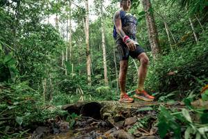 BIB: 
                            <button type="button" onclick="openModal(24774806)" class="btn btn-primary btn-sm float-right btn-popup" data-toggle="modal" data-target=".modal-high-quality">
                        <i class="fas fa-shopping-cart"></i> Add to Cart
                    </button>
                                            <button type="button" onclick="isThisMe(24774806, true)" class="btn btn-success btn-sm float-right btn-popup btn-isme hidden" data-toggle="tooltip" data-placement="bottom" title="นี่คือรูปของคุณใช่ไหม คลิกที่นี่เพื่อเอาเข้าอัลบั้ม">
                        <i class="fas fa-plus"></i> Add to album
                    </button>
                    <button type="button" onclick="isThisMe(24774806, false)" class="btn btn-warning btn-sm float-right btn-popup btn-isnotme hidden">
                        <i class="fas fa-ban"></i> Remove from album
                    </button>