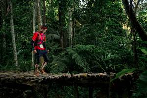 BIB: 
                            <button type="button" onclick="openModal(24764191)" class="btn btn-primary btn-sm float-right btn-popup" data-toggle="modal" data-target=".modal-high-quality">
                        <i class="fas fa-shopping-cart"></i> Add to Cart
                    </button>
                                            <button type="button" onclick="isThisMe(24764191, true)" class="btn btn-success btn-sm float-right btn-popup btn-isme hidden" data-toggle="tooltip" data-placement="bottom" title="นี่คือรูปของคุณใช่ไหม คลิกที่นี่เพื่อเอาเข้าอัลบั้ม">
                        <i class="fas fa-plus"></i> Add to album
                    </button>
                    <button type="button" onclick="isThisMe(24764191, false)" class="btn btn-warning btn-sm float-right btn-popup btn-isnotme hidden">
                        <i class="fas fa-ban"></i> Remove from album
                    </button>