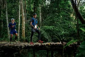 BIB: 
                            <button type="button" onclick="openModal(24765399)" class="btn btn-primary btn-sm float-right btn-popup" data-toggle="modal" data-target=".modal-high-quality">
                        <i class="fas fa-shopping-cart"></i> Add to Cart
                    </button>
                                            <button type="button" onclick="isThisMe(24765399, true)" class="btn btn-success btn-sm float-right btn-popup btn-isme hidden" data-toggle="tooltip" data-placement="bottom" title="นี่คือรูปของคุณใช่ไหม คลิกที่นี่เพื่อเอาเข้าอัลบั้ม">
                        <i class="fas fa-plus"></i> Add to album
                    </button>
                    <button type="button" onclick="isThisMe(24765399, false)" class="btn btn-warning btn-sm float-right btn-popup btn-isnotme hidden">
                        <i class="fas fa-ban"></i> Remove from album
                    </button>