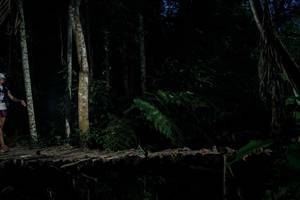 BIB: 
                            <button type="button" onclick="openModal(24760453)" class="btn btn-primary btn-sm float-right btn-popup" data-toggle="modal" data-target=".modal-high-quality">
                        <i class="fas fa-shopping-cart"></i> Add to Cart
                    </button>
                                            <button type="button" onclick="isThisMe(24760453, true)" class="btn btn-success btn-sm float-right btn-popup btn-isme hidden" data-toggle="tooltip" data-placement="bottom" title="นี่คือรูปของคุณใช่ไหม คลิกที่นี่เพื่อเอาเข้าอัลบั้ม">
                        <i class="fas fa-plus"></i> Add to album
                    </button>
                    <button type="button" onclick="isThisMe(24760453, false)" class="btn btn-warning btn-sm float-right btn-popup btn-isnotme hidden">
                        <i class="fas fa-ban"></i> Remove from album
                    </button>