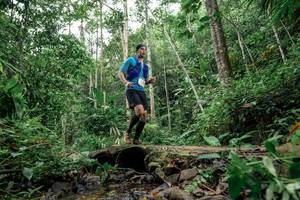 BIB: 
                            <button type="button" onclick="openModal(24773670)" class="btn btn-primary btn-sm float-right btn-popup" data-toggle="modal" data-target=".modal-high-quality">
                        <i class="fas fa-shopping-cart"></i> Add to Cart
                    </button>
                                            <button type="button" onclick="isThisMe(24773670, true)" class="btn btn-success btn-sm float-right btn-popup btn-isme hidden" data-toggle="tooltip" data-placement="bottom" title="นี่คือรูปของคุณใช่ไหม คลิกที่นี่เพื่อเอาเข้าอัลบั้ม">
                        <i class="fas fa-plus"></i> Add to album
                    </button>
                    <button type="button" onclick="isThisMe(24773670, false)" class="btn btn-warning btn-sm float-right btn-popup btn-isnotme hidden">
                        <i class="fas fa-ban"></i> Remove from album
                    </button>