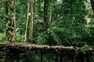 BIB: 
                            <button type="button" onclick="openModal(24766167)" class="btn btn-primary btn-sm float-right btn-popup" data-toggle="modal" data-target=".modal-high-quality">
                        <i class="fas fa-shopping-cart"></i> Add to Cart
                    </button>
                                            <button type="button" onclick="isThisMe(24766167, true)" class="btn btn-success btn-sm float-right btn-popup btn-isme hidden" data-toggle="tooltip" data-placement="bottom" title="นี่คือรูปของคุณใช่ไหม คลิกที่นี่เพื่อเอาเข้าอัลบั้ม">
                        <i class="fas fa-plus"></i> Add to album
                    </button>
                    <button type="button" onclick="isThisMe(24766167, false)" class="btn btn-warning btn-sm float-right btn-popup btn-isnotme hidden">
                        <i class="fas fa-ban"></i> Remove from album
                    </button>