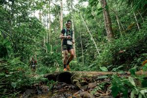 BIB: 
                            <button type="button" onclick="openModal(24775931)" class="btn btn-primary btn-sm float-right btn-popup" data-toggle="modal" data-target=".modal-high-quality">
                        <i class="fas fa-shopping-cart"></i> Add to Cart
                    </button>
                                            <button type="button" onclick="isThisMe(24775931, true)" class="btn btn-success btn-sm float-right btn-popup btn-isme hidden" data-toggle="tooltip" data-placement="bottom" title="นี่คือรูปของคุณใช่ไหม คลิกที่นี่เพื่อเอาเข้าอัลบั้ม">
                        <i class="fas fa-plus"></i> Add to album
                    </button>
                    <button type="button" onclick="isThisMe(24775931, false)" class="btn btn-warning btn-sm float-right btn-popup btn-isnotme hidden">
                        <i class="fas fa-ban"></i> Remove from album
                    </button>